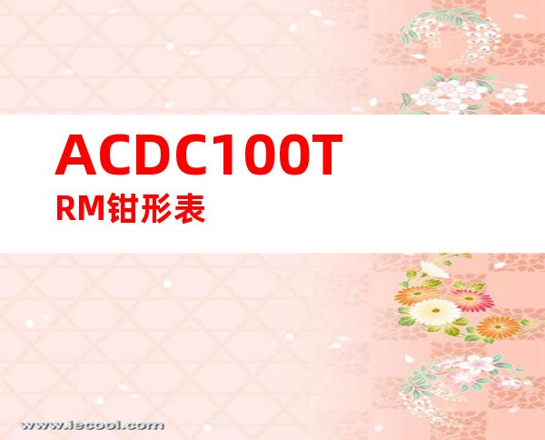 ACDC100TRM钳形表