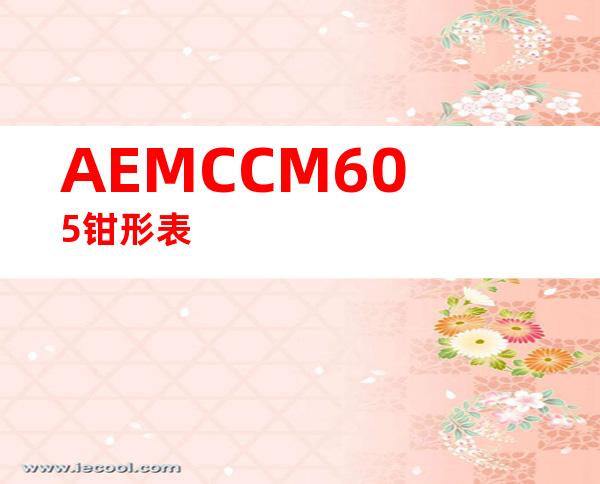 AEMCCM605钳形表
