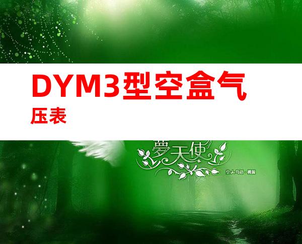 DYM3型空盒气压表