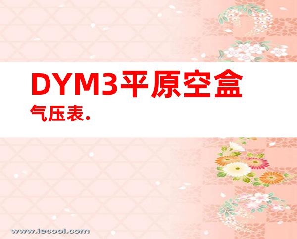 DYM3平原空盒气压表.