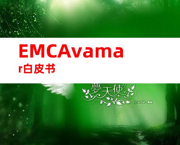EMCAvamar白皮书