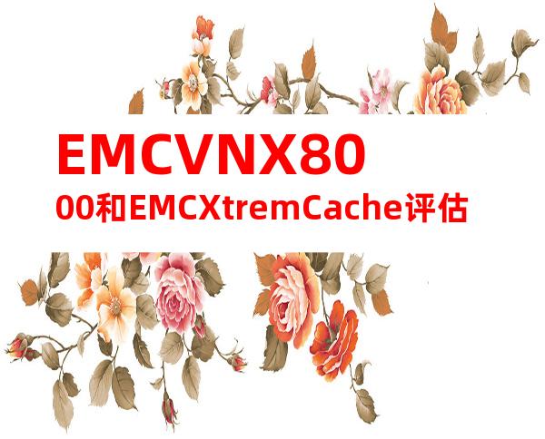 EMCVNX8000和EMCXtremCache评估