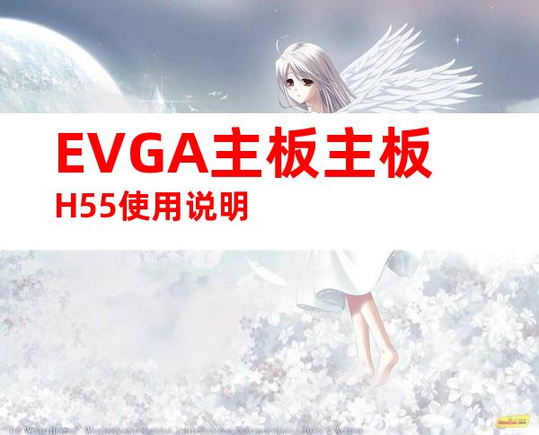 EVGA主板主板H55使用说明