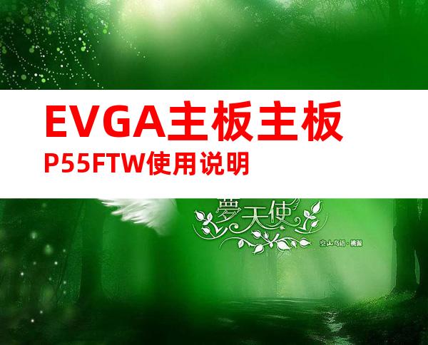 EVGA主板主板P55FTW使用说明