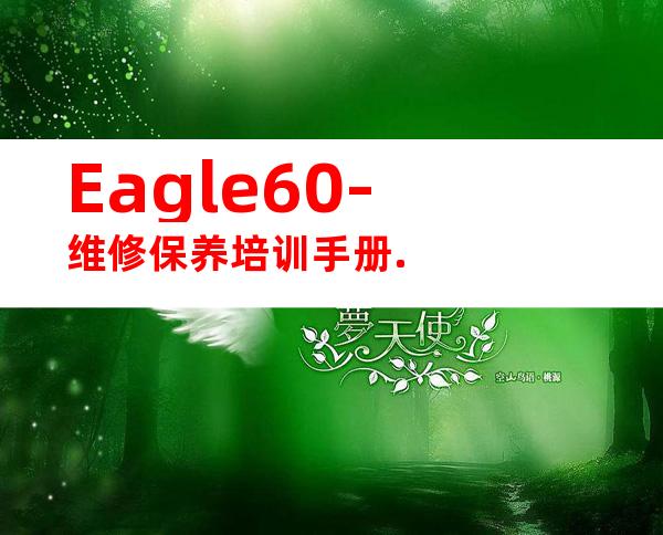 Eagle60-维修保养培训手册.
