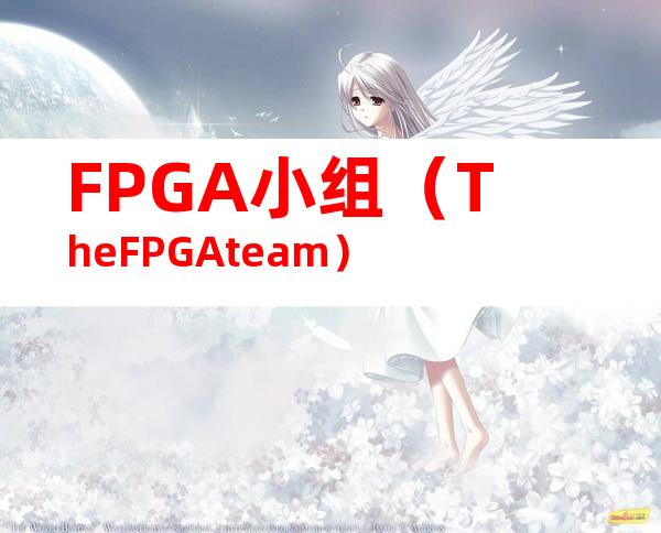 FPGA小组（TheFPGAteam）