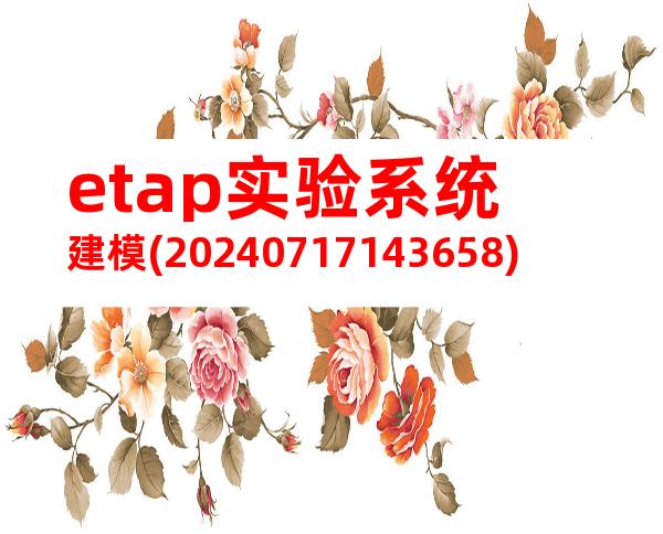 etap实验系统建模(20240717143658)