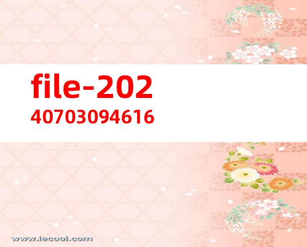 file-20240703094616
