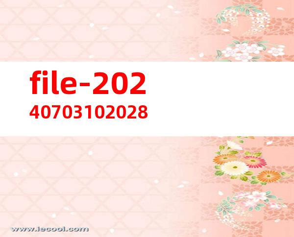 file-20240703102028