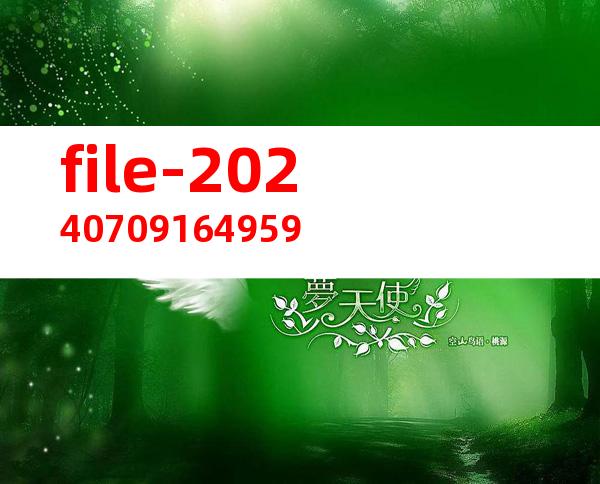 file-20240709164959