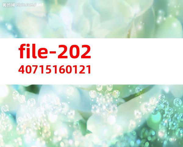file-20240715160121