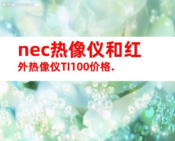nec热像仪和红外热像仪TI100价格.