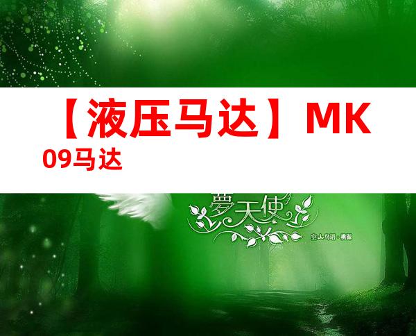 【液压马达】MK09马达
