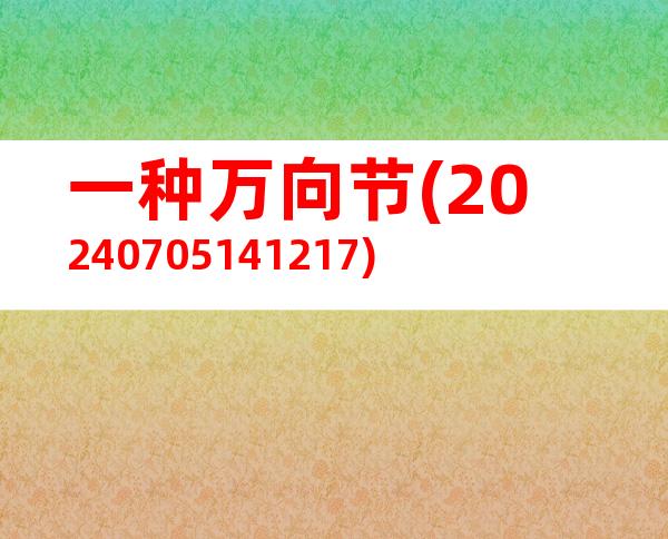 一种万向节(20240705141217)