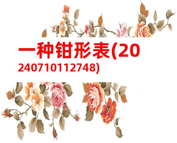 一种钳形表(20240710112748)