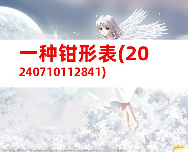 一种钳形表(20240710112841)