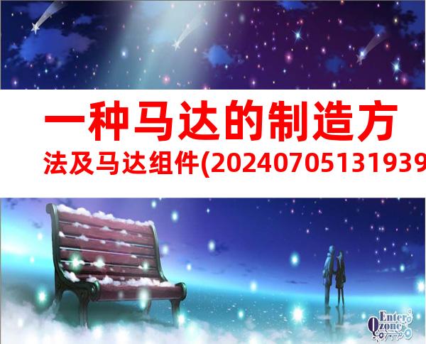 一种马达的制造方法及马达组件(20240705131939)