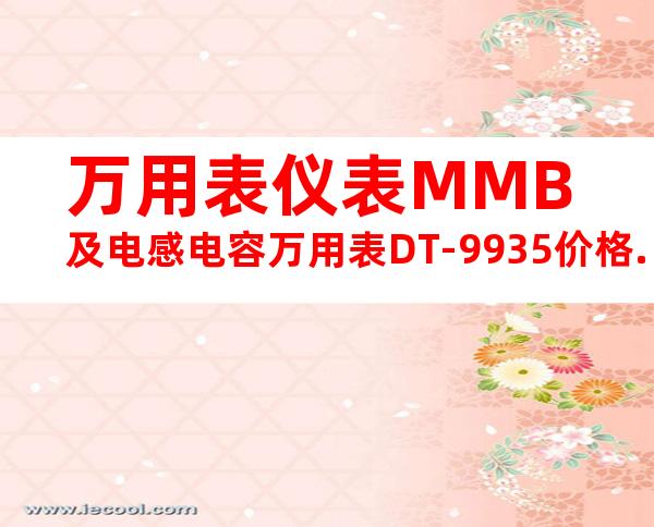 万用表仪表MMB及电感电容万用表DT-9935价格.