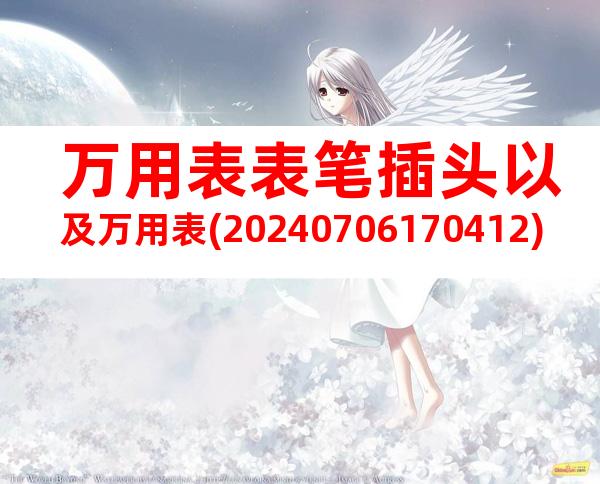 万用表表笔插头以及万用表(20240706170412)