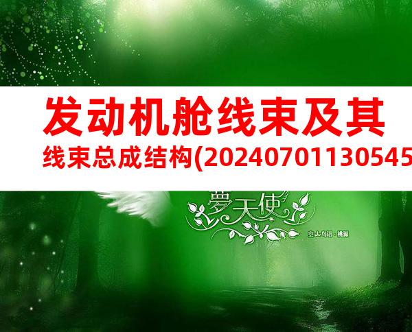 发动机舱线束及其线束总成结构(20240701130545)