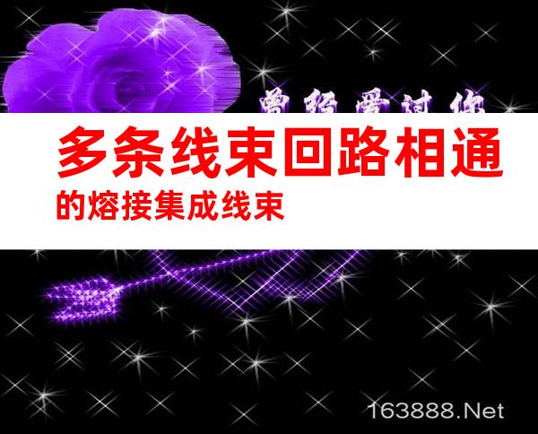 多条线束回路相通的熔接集成线束