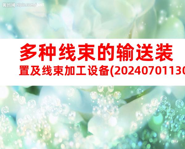 多种线束的输送装置及线束加工设备(20240701130528)