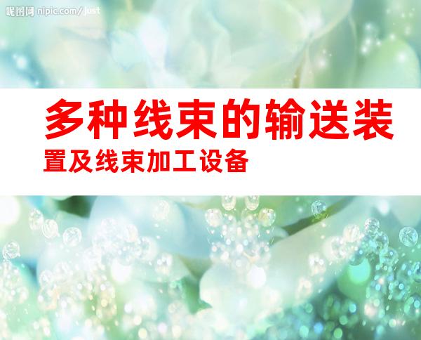 多种线束的输送装置及线束加工设备
