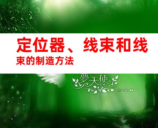 定位器、线束和线束的制造方法