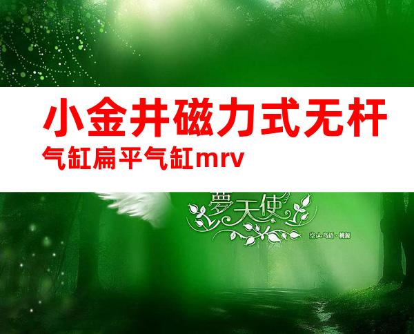 小金井磁力式无杆气缸扁平气缸mrv