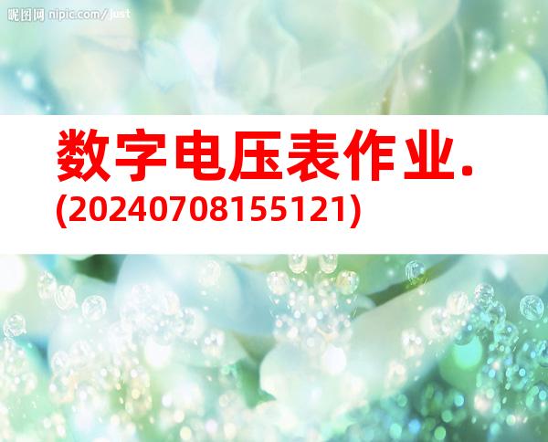 数字电压表作业.(20240708155121)