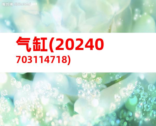 气缸(20240703114718)