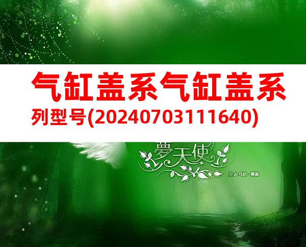 气缸盖系气缸盖系列型号(20240703111640)