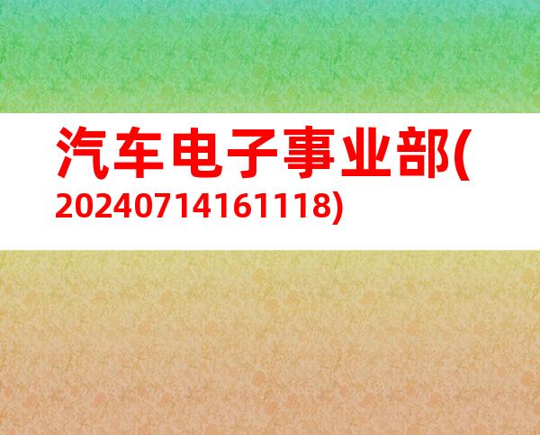 汽车电子事业部(20240714161118)