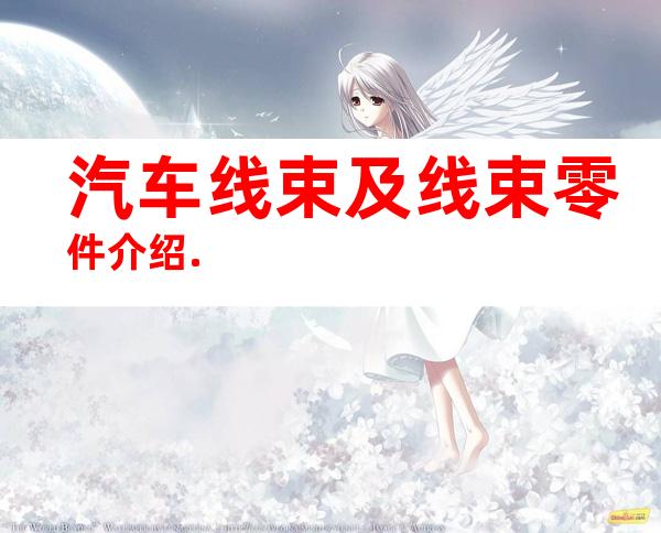 汽车线束及线束零件介绍.