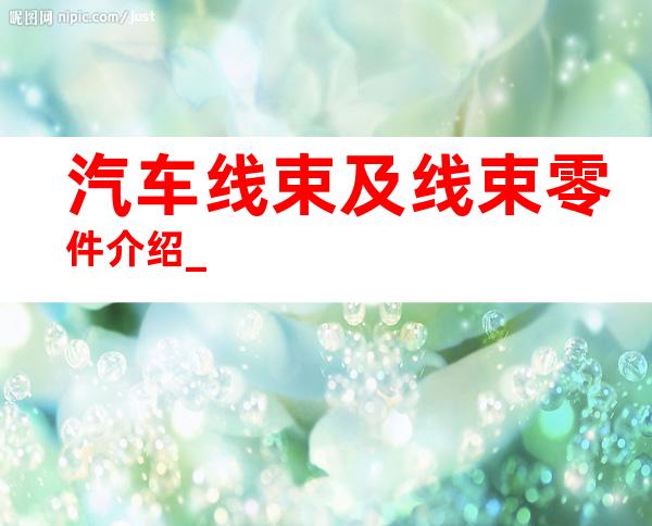 汽车线束及线束零件介绍_