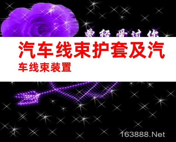 汽车线束护套及汽车线束装置