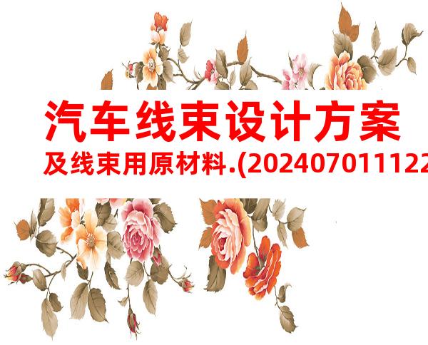 汽车线束设计方案及线束用原材料.(20240701112251)
