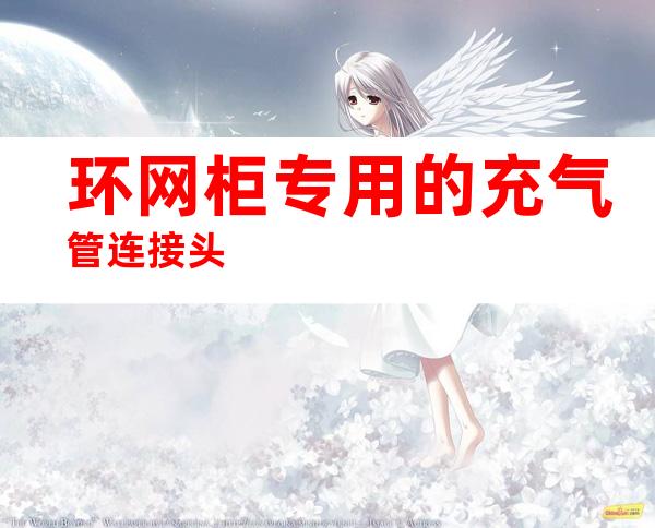 环网柜专用的充气管连接头