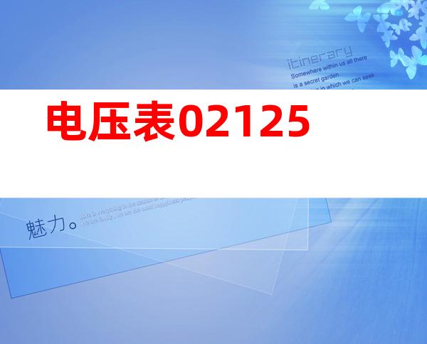 电压表02125