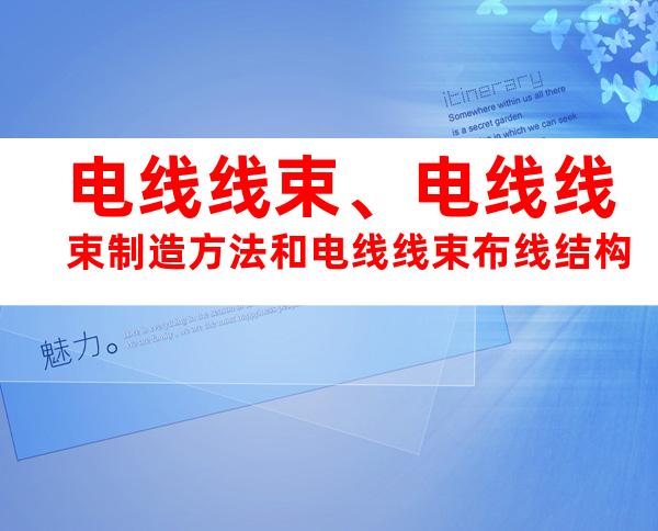 电线线束、电线线束制造方法和电线线束布线结构