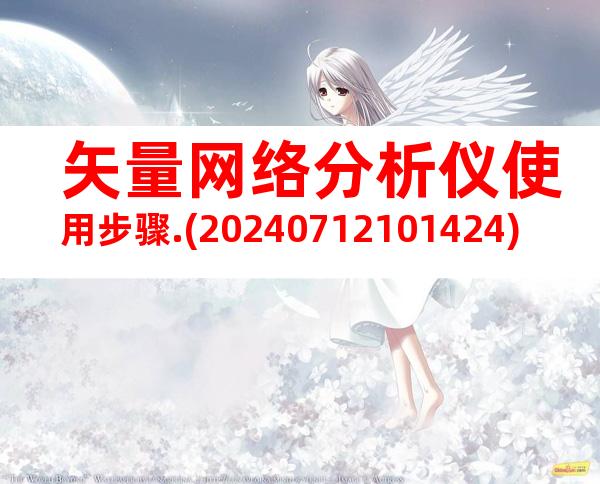矢量网络分析仪使用步骤.(20240712101424)