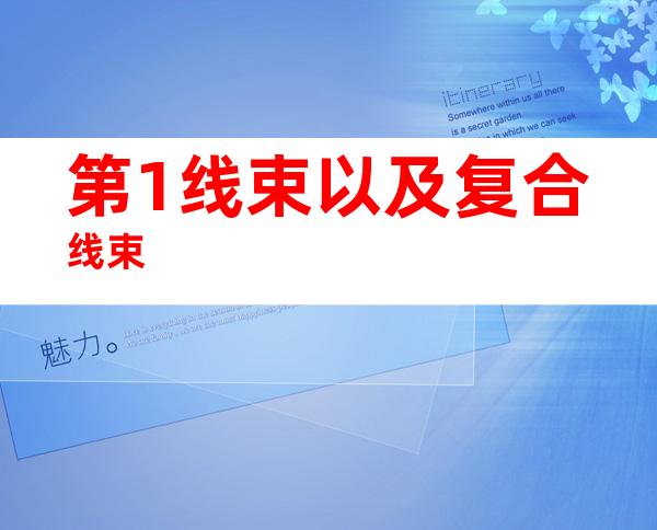 第1线束以及复合线束