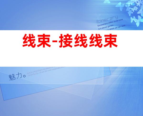 线束-接线线束