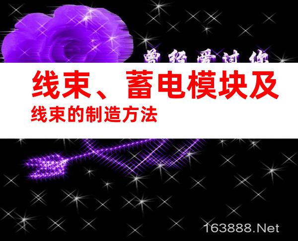 线束、蓄电模块及线束的制造方法