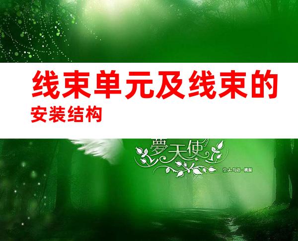 线束单元及线束的安装结构