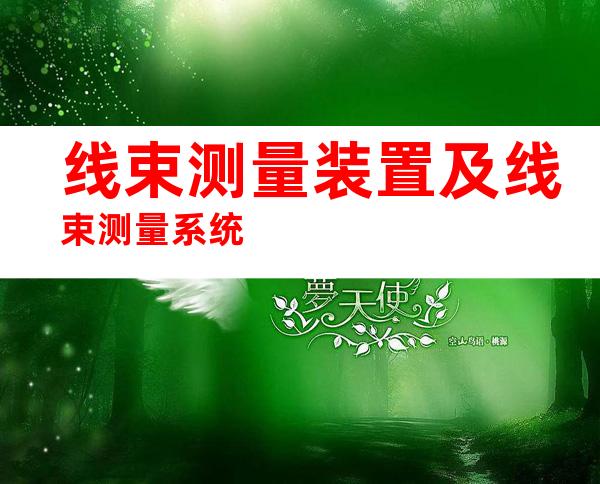 线束测量装置及线束测量系统