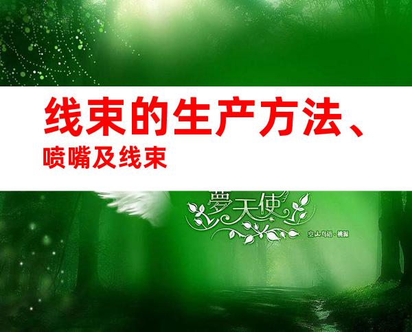 线束的生产方法、喷嘴及线束