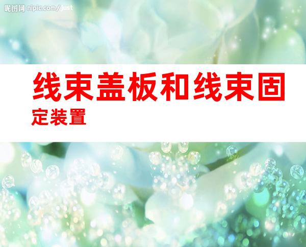 线束盖板和线束固定装置