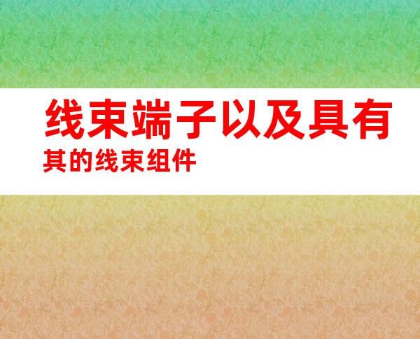 线束端子以及具有其的线束组件