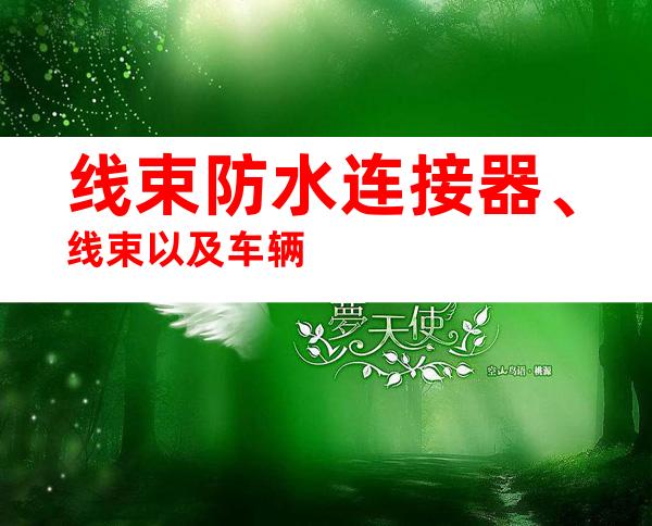 线束防水连接器、线束以及车辆